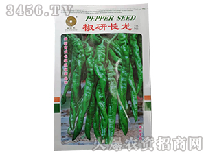 �����L(zh��ng)��-�����N��-�A��N�I(y��)