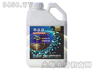 �ЙC�o�C�طN�Ѹ���-���щ�-�_��������