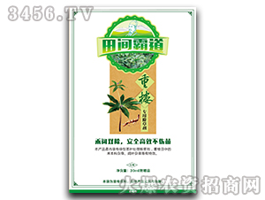 �ؘǌ�(zhu��n)�ó��݄�-���g�Ե�