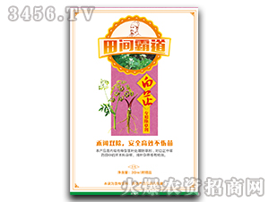 ���ƌ�(zhu��n)�ó��݄�-���g�Ե�