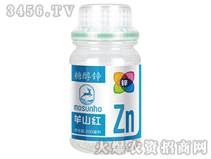 �Ǵ��\-Ĳɽ�t-���p��