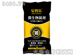 10�|�S�����ЙC̼΢����������w����-���՘�-�f�����B(t��i)