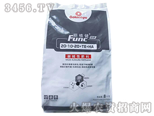 ���A�Է���20-10-20+TE+HA-��ֲ�I-��I(y��)����