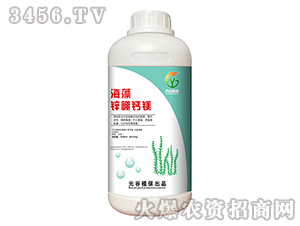 �����\���}�V-Ԫ��ֲ��