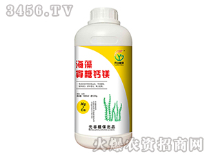 ��������}�V-Ԫ��ֲ��