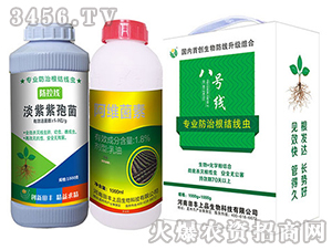 �������߾�+���S����-��̖��-���S����