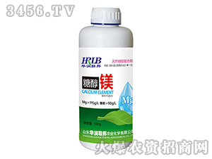 �Ǵ��V-�A��(li��n)��