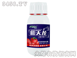 ����������÷�-������-���Ɓ�