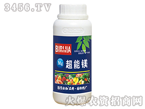 �����V-�̱ؼ�-�κ�����