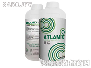 ������-¶��-���ϻ���