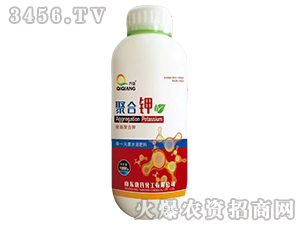 �ۺ��-�揊(qi��ng)-���ϻ��� 