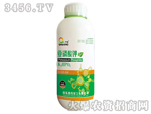 �������-�揊-���ϻ���