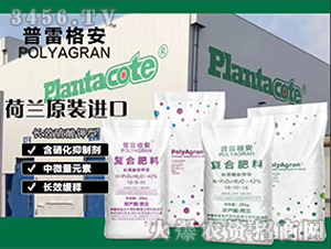 ��(f��)�Ϸ���-���׸�-���ϻ���