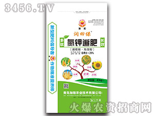 ���׷��24-0-4-���ﱣ-���