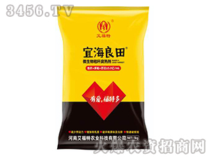 ΢����ն����섩-�˺�����-������