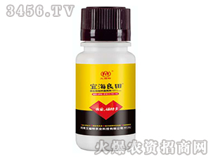 100g΢����ն����섩-�˺�����-������