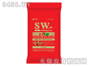 �t���-ɽ���λ�