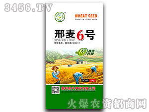 ϲ��203-С���N��-���̷N�I(y��) 