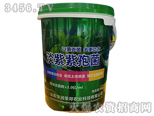 �������߾�-�A��(r��n)�s��