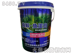 ø���~����-�A��(r��n)�s��