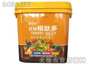 �������Ķ�-�A��(r��n)�s��