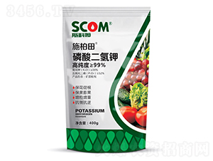 ��������-ʩ����-˹��ķ