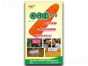 ������918-���׷N��-���A�߿�