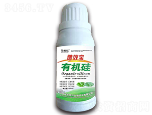 ��Ч���ЙC(j��)��-�f(w��n)�ڼt-���{�d 