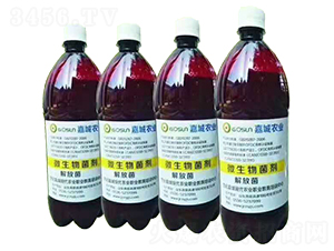 ΢�������-��ž�-�γ��r(n��ng)�I(y��)