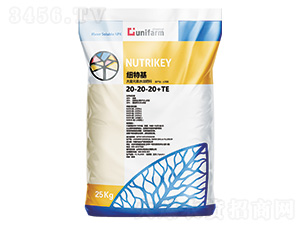 ������ԭ�b�M��20-20-20+TE