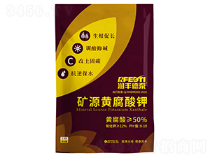 �VԴ�S�����-��(r��n)�S��̩