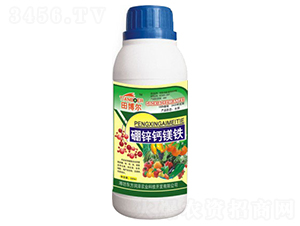 ���\�}�V�F-�ﲩ��-�|����(r��n)�� 