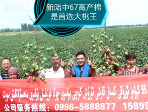 �����67�߮a(ch��n)��-���SԪ