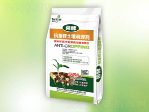 ���ز������{(di��o)�턩-�䠖-�|����(r��n)��