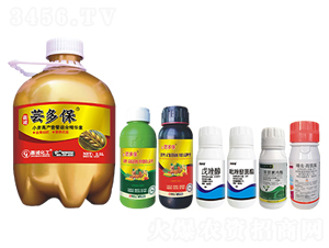 С���߮a(ch��n)�ײͣ�ʮ���w����-�|�ౣ-���\���� 