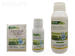 24-���|̦�؃�(n��i)��-�����`-�����