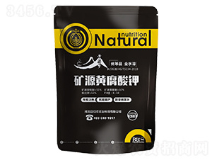 �VԴ�S�����-�S����-�����r�I(y��)