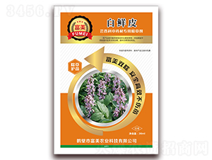 ���rƤ�|�����ˎ�ĳ��݄�-���� 