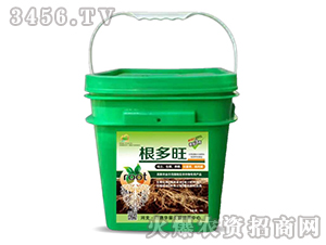 ������-��������