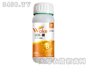 �ֿơ���-������