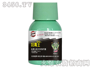 �ݲݡ��޴�ѿ�ߗU��-������-������