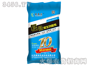 10�|�ͺ�΢�������-�ؿ���-�����r�I(y��)