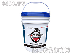 ̼��ø�⚤����-��������