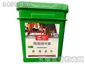 ���徫�A��-����-�������� 