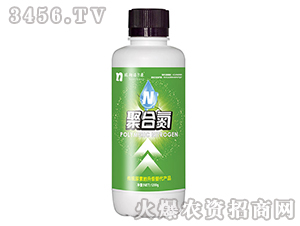 �ۺϵ�-�Z����