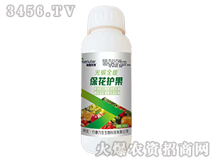 �����o����-��̼ȫ��-��������