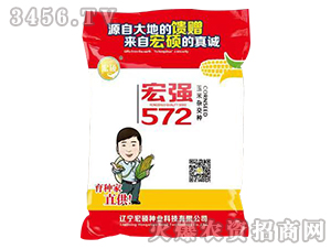 �ꏊ572-�����s���N-��T�N�I(y��)