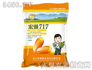 �ꏊ717-�����s���N-��T�N�I(y��)