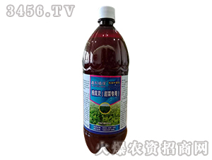 �����`����ˌ��ã�-�ο�ֲ��