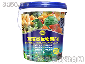 ����΢�������-��@���S-���S�ʘI(y��)